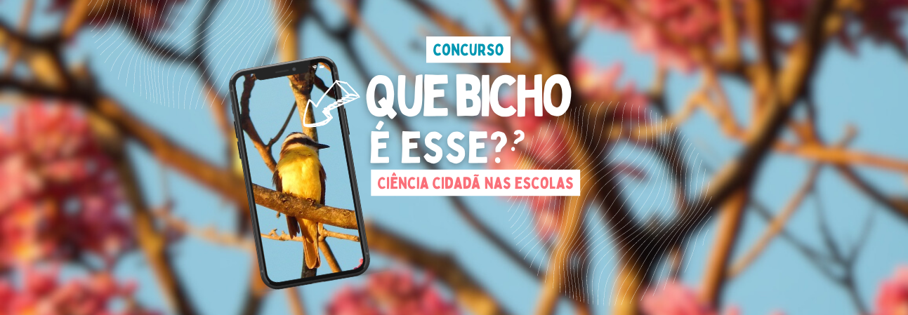 bicho  Divertido-Conhecimento